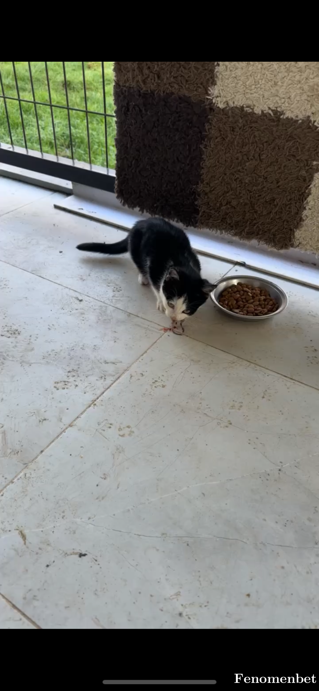 Mustafagrbz tarafından paylaşıldı