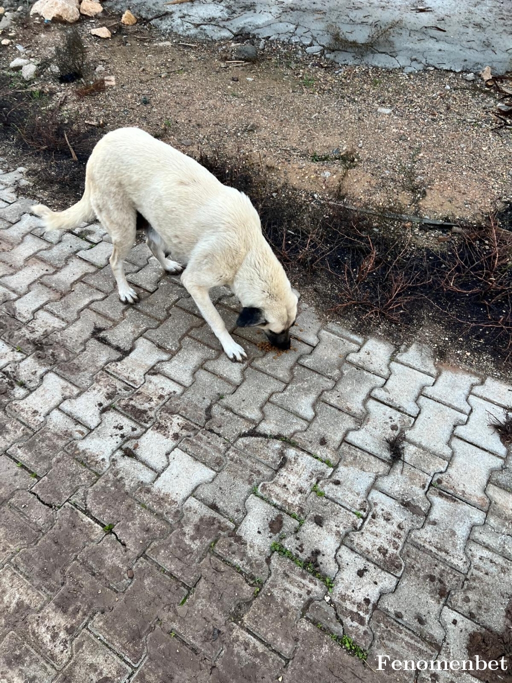 sanverdi3131  tarafından paylaşıldı