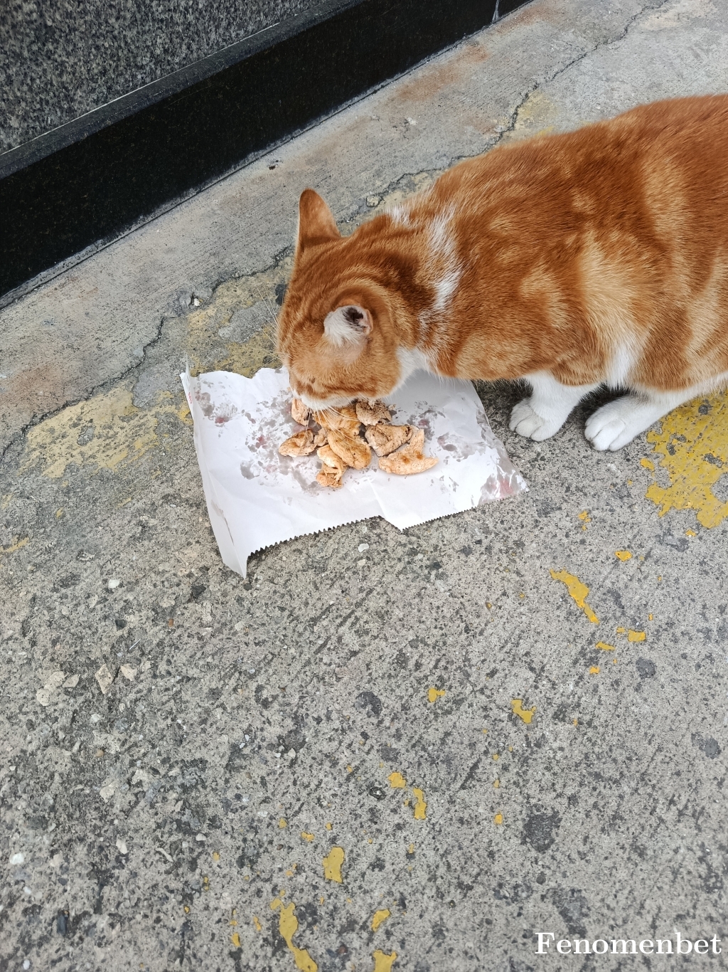 Baychef  tarafından paylaşıldı