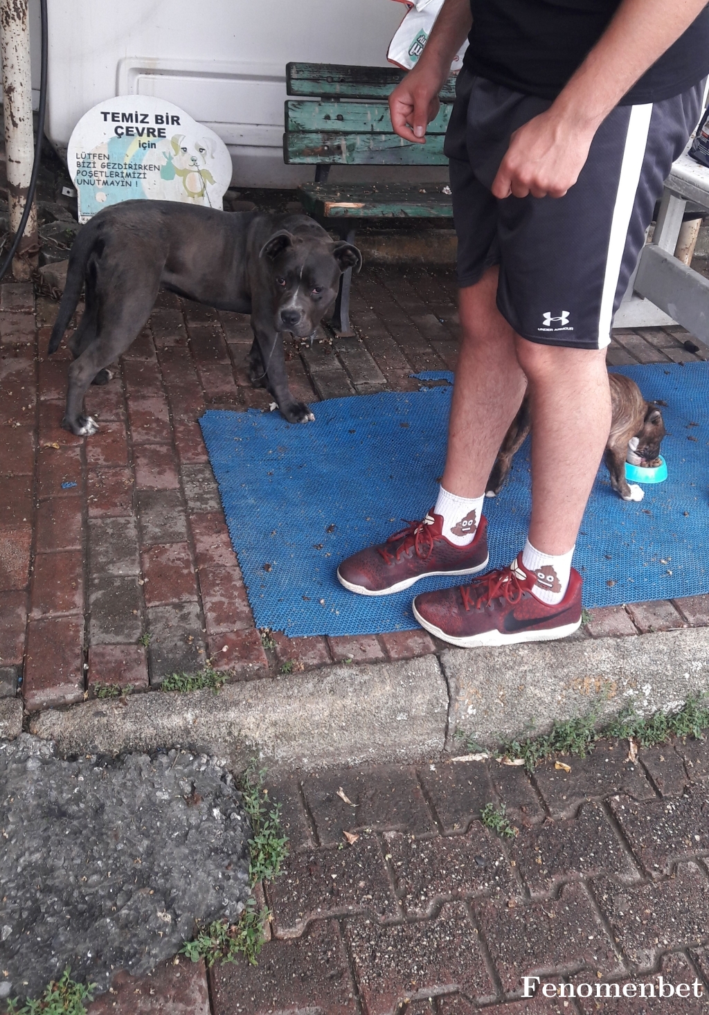 futbolcu77 tarafından paylaşıldı