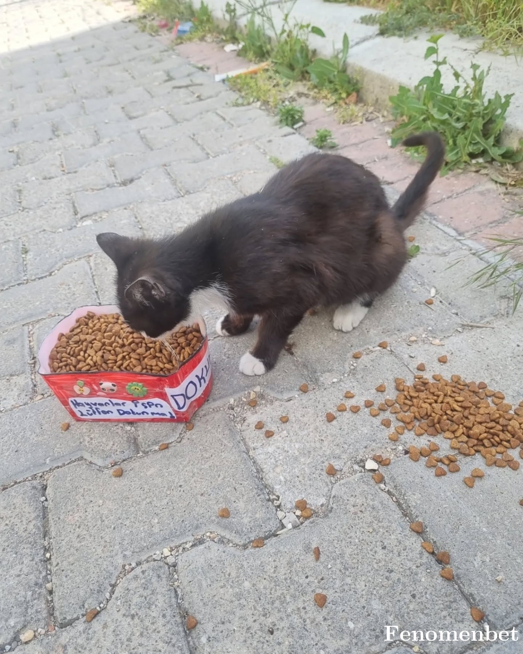 Captagon01 tarafından paylaşıldı