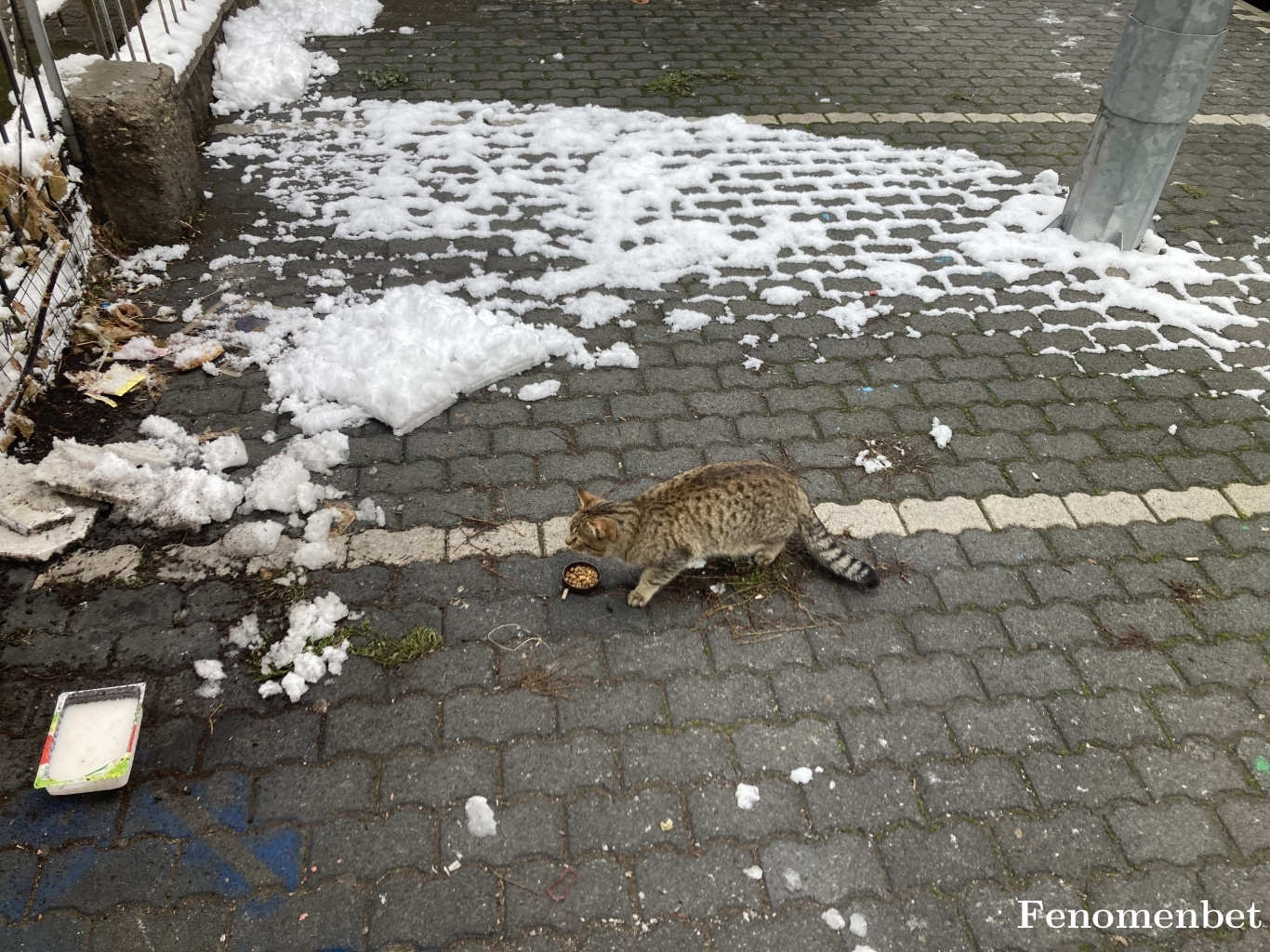 Berberim1 tarafından paylaşıldı