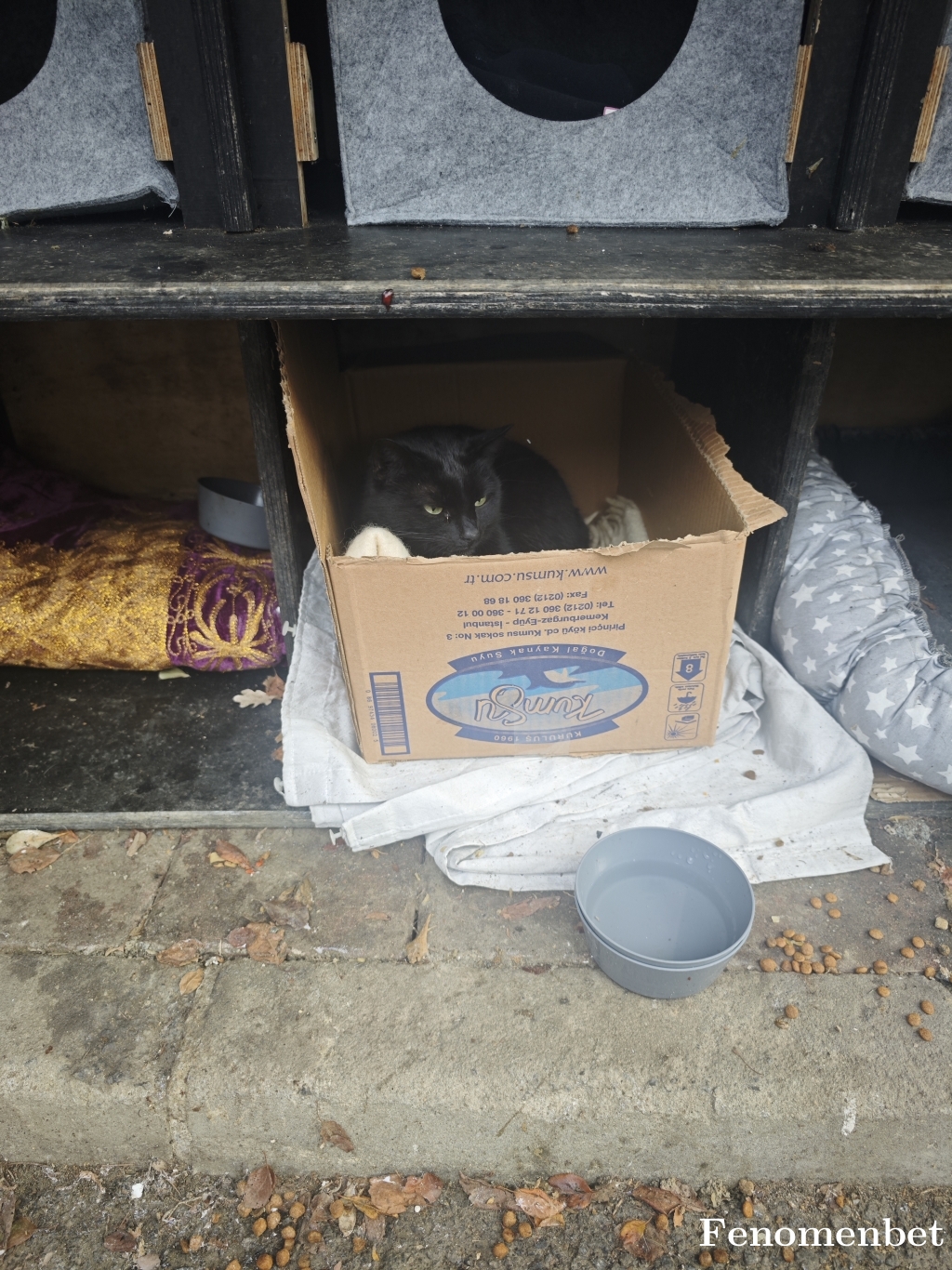 19BJK03 tarafından paylaşıldı