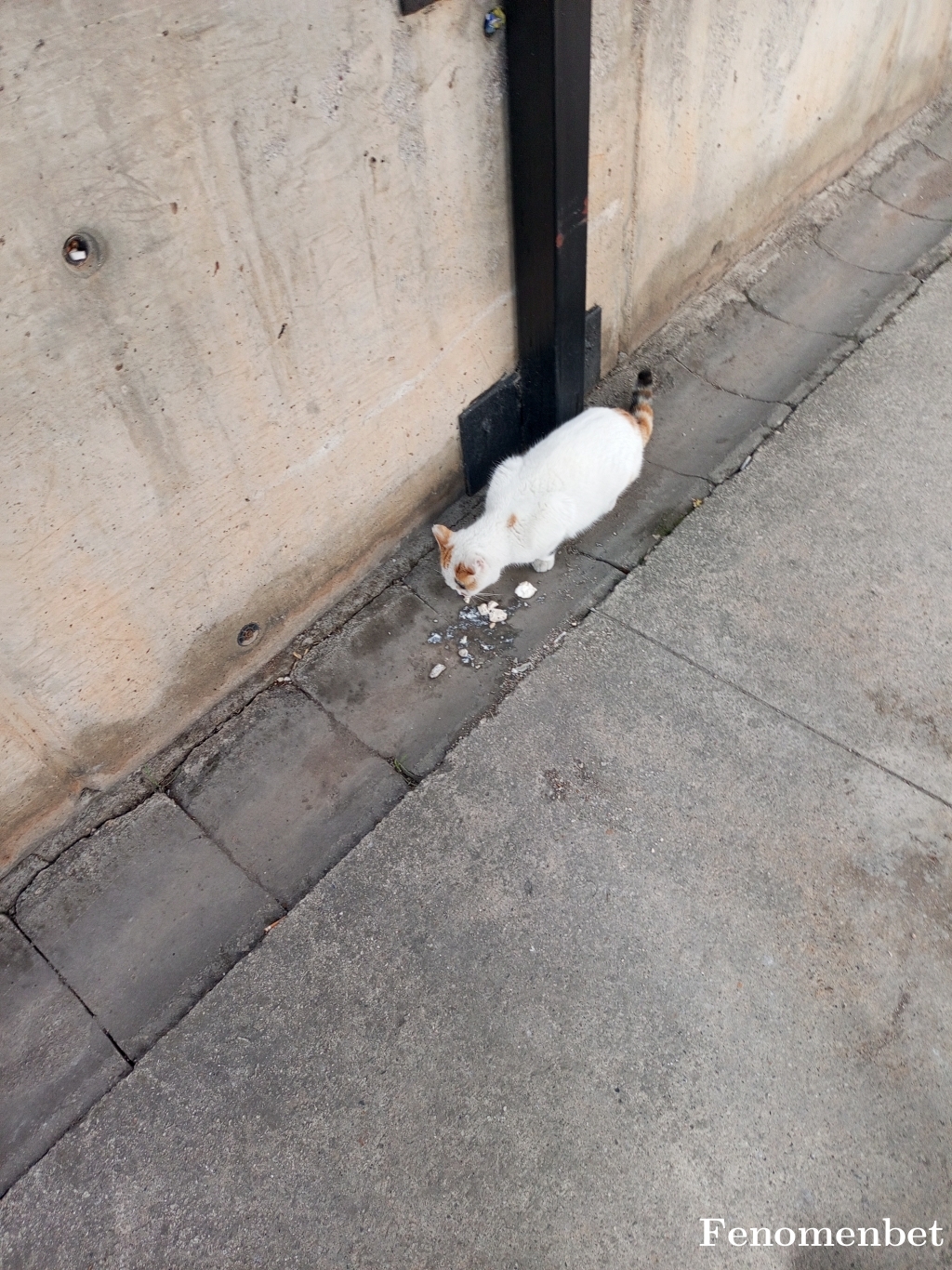 Gs121212 tarafından paylaşıldı