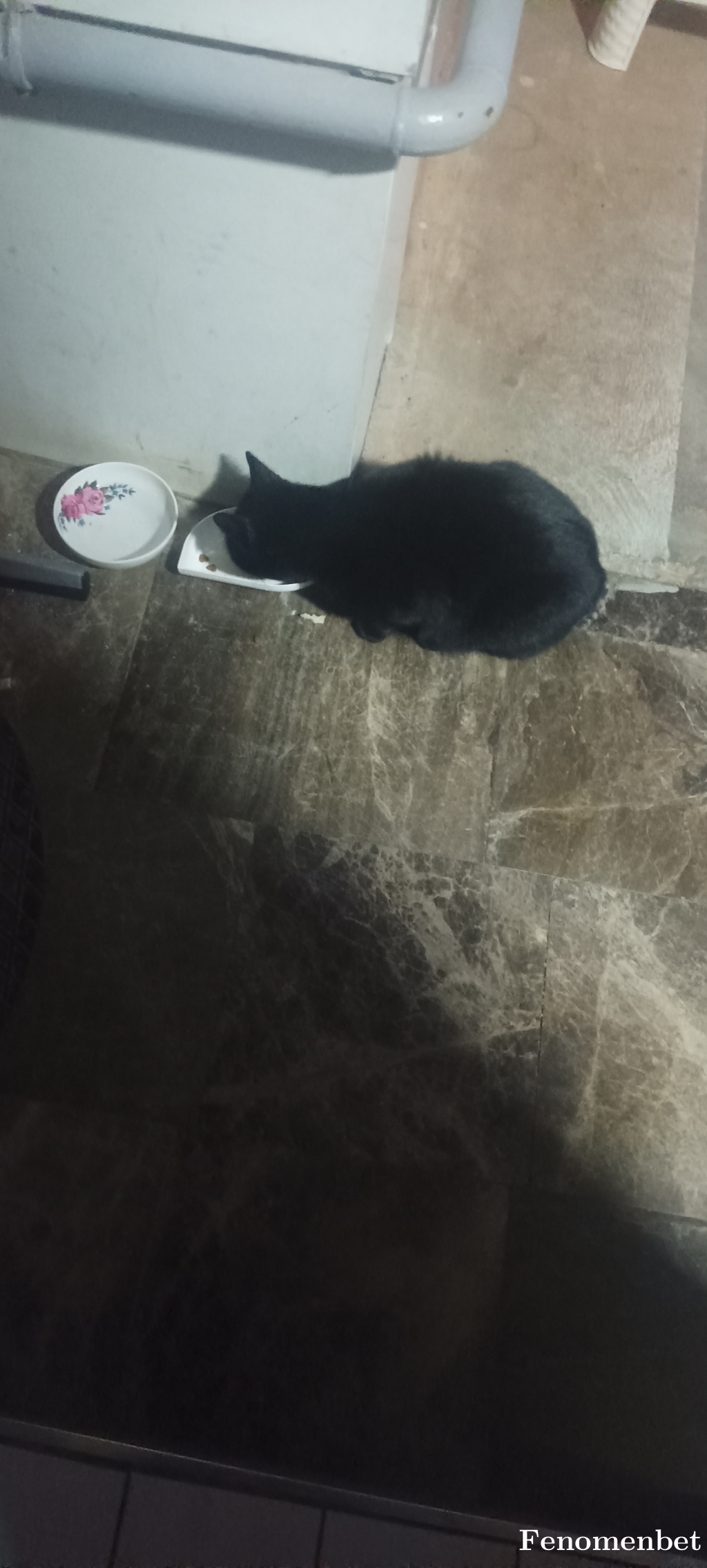 Madra63 tarafından paylaşıldı