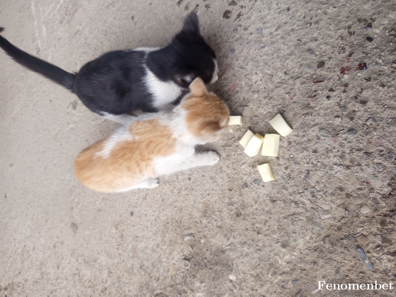 Goldmane35  tarafından paylaşıldı