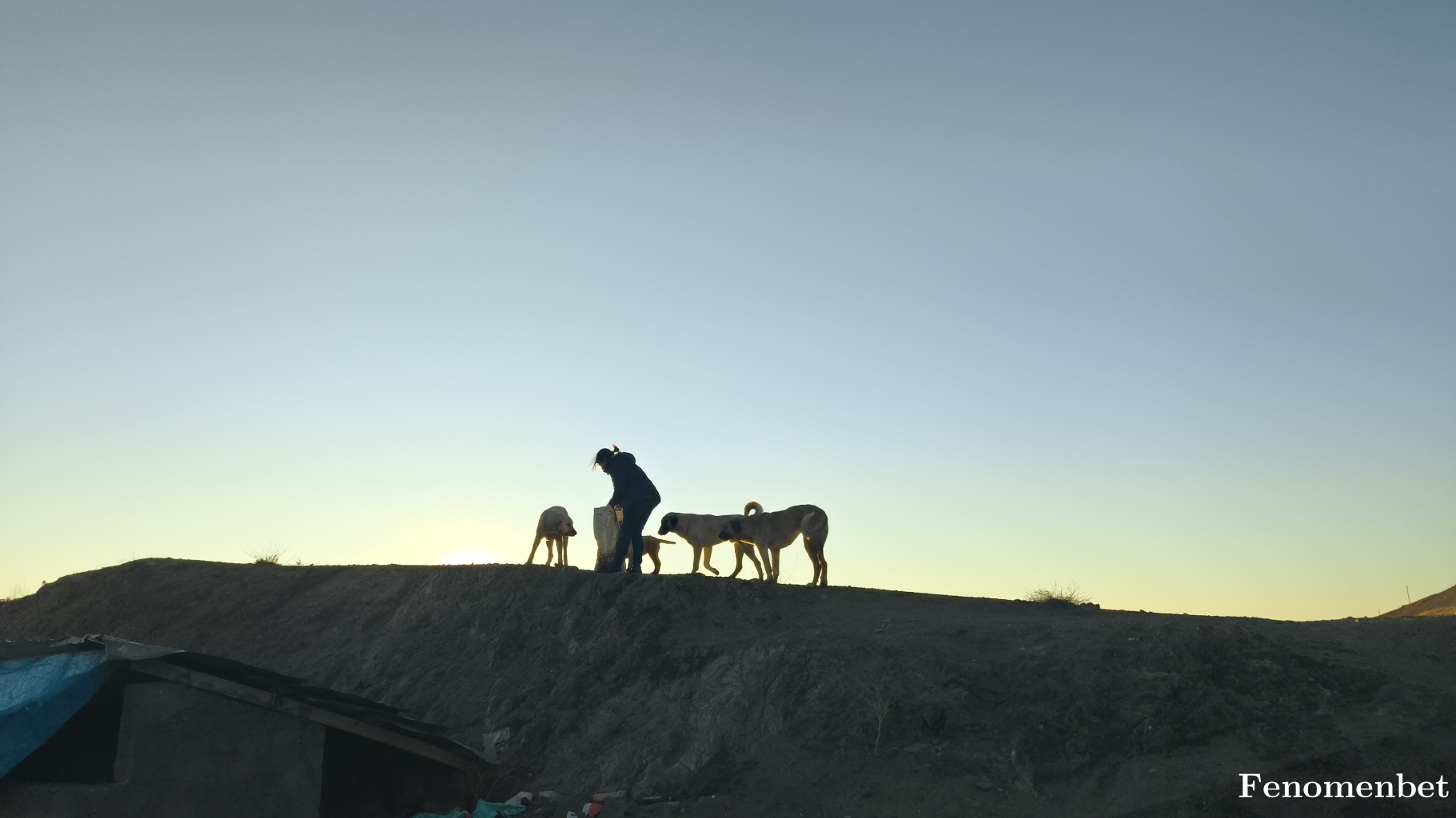 Wergo62 tarafından paylaşıldı