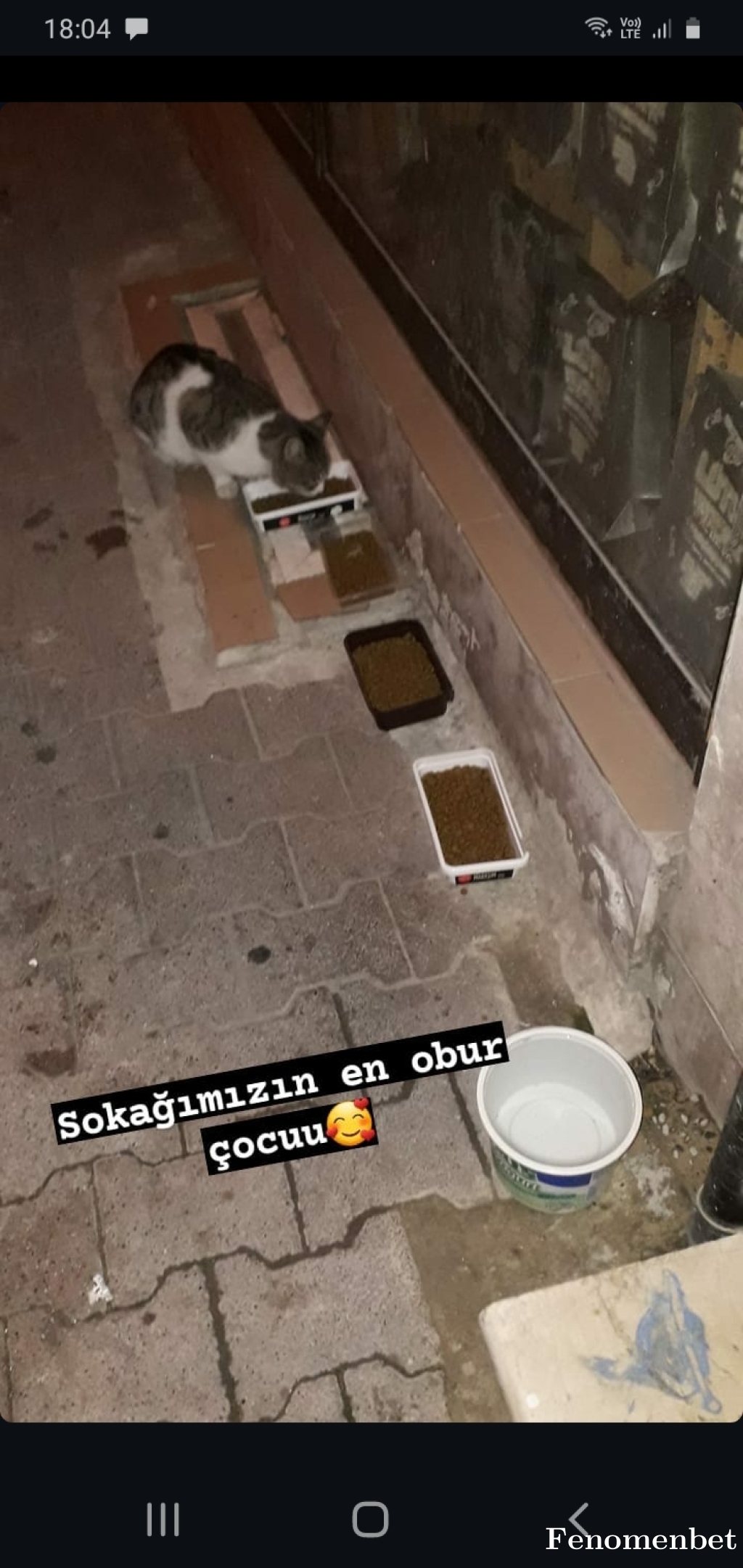 Ipektos  tarafından paylaşıldı