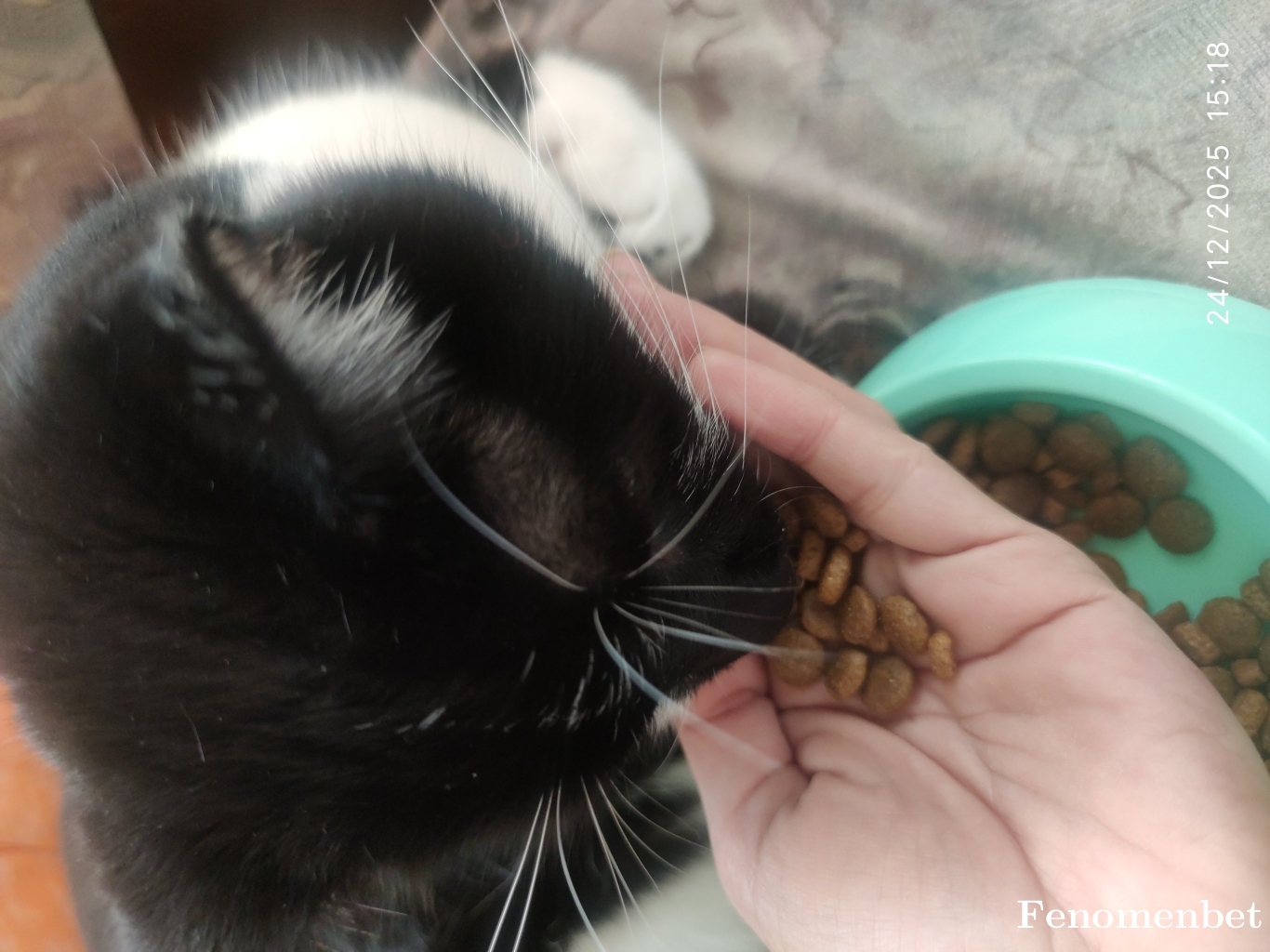 balbalbet tarafından paylaşıldı