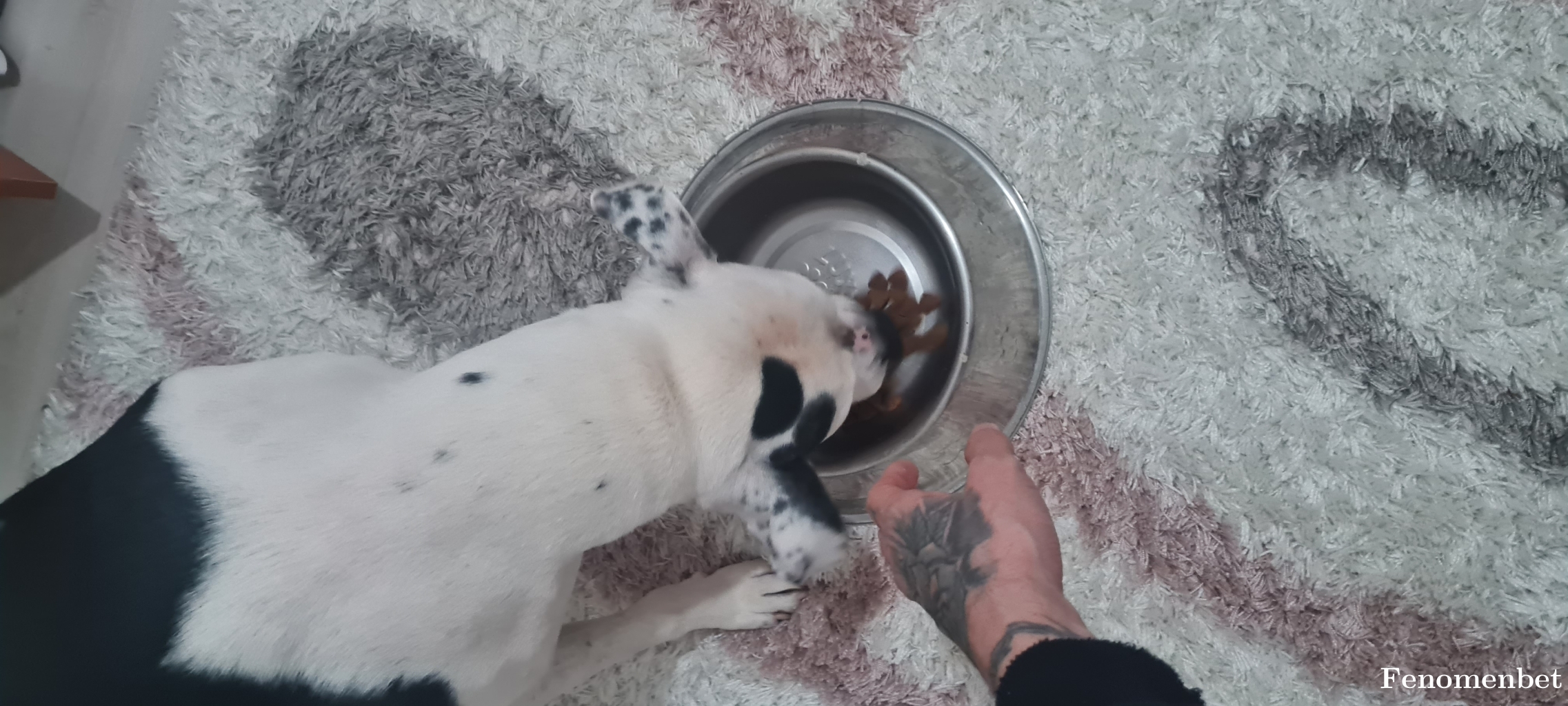 berkeee tarafından paylaşıldı