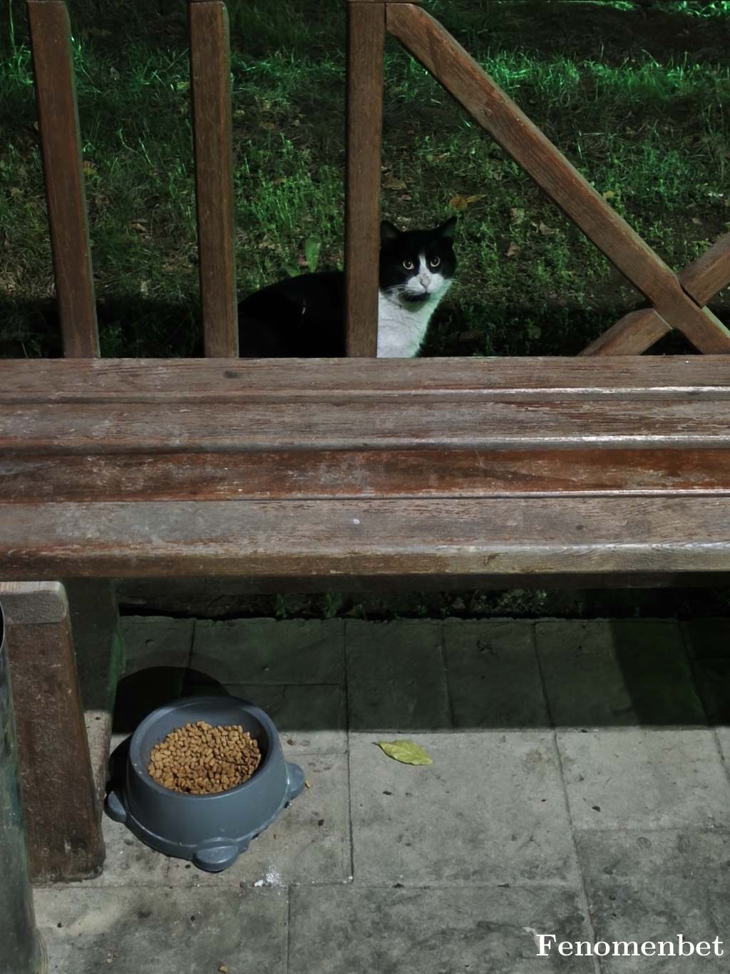 Norvax tarafından paylaşıldı