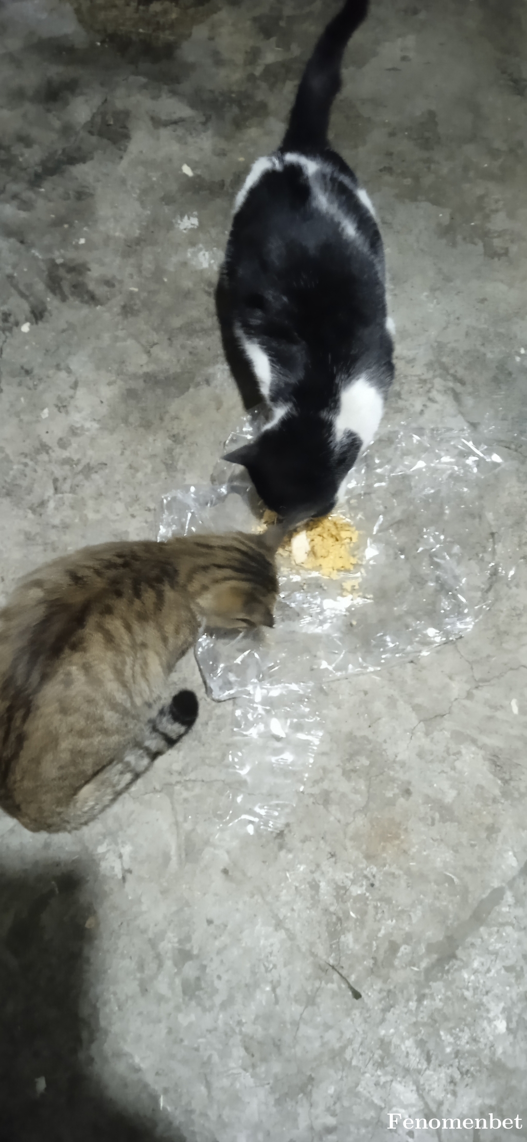 davut1907 tarafından paylaşıldı