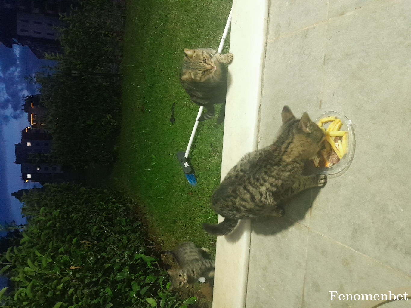 Kelebek1205  tarafından paylaşıldı