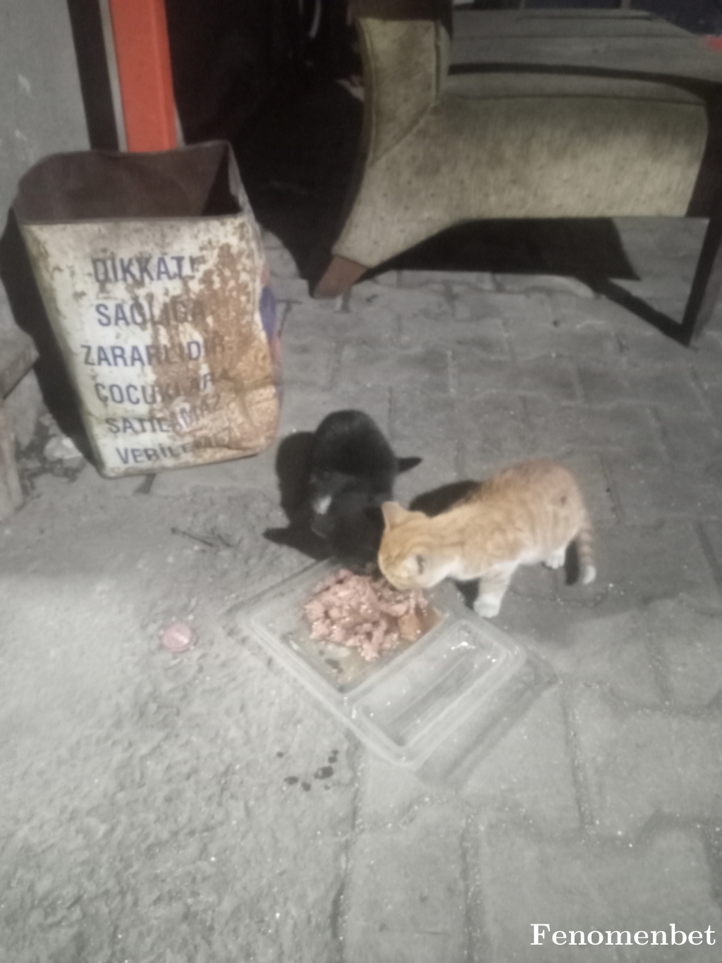 Lazitami tarafından paylaşıldı