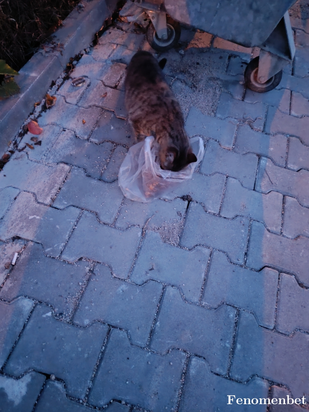 aykankupon tarafından paylaşıldı