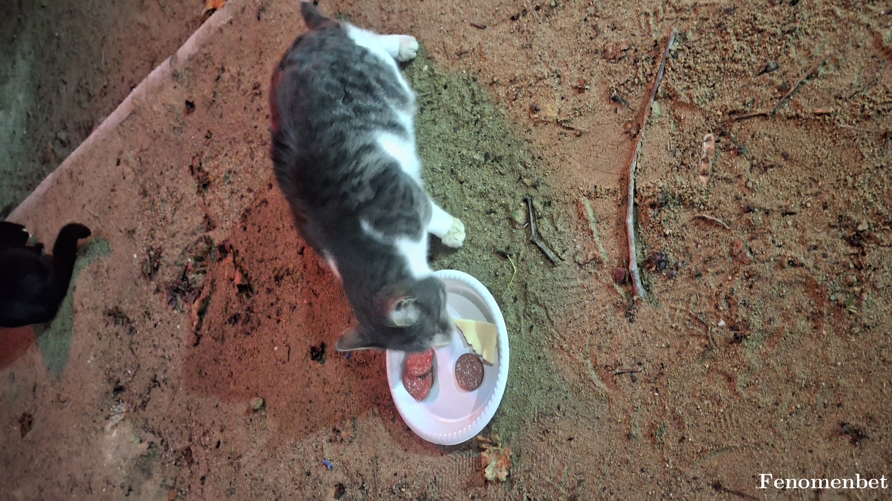 Lord157  tarafından paylaşıldı