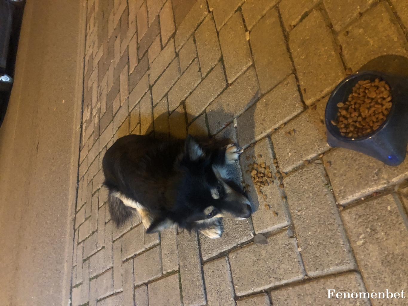 Chef5564 tarafından paylaşıldı