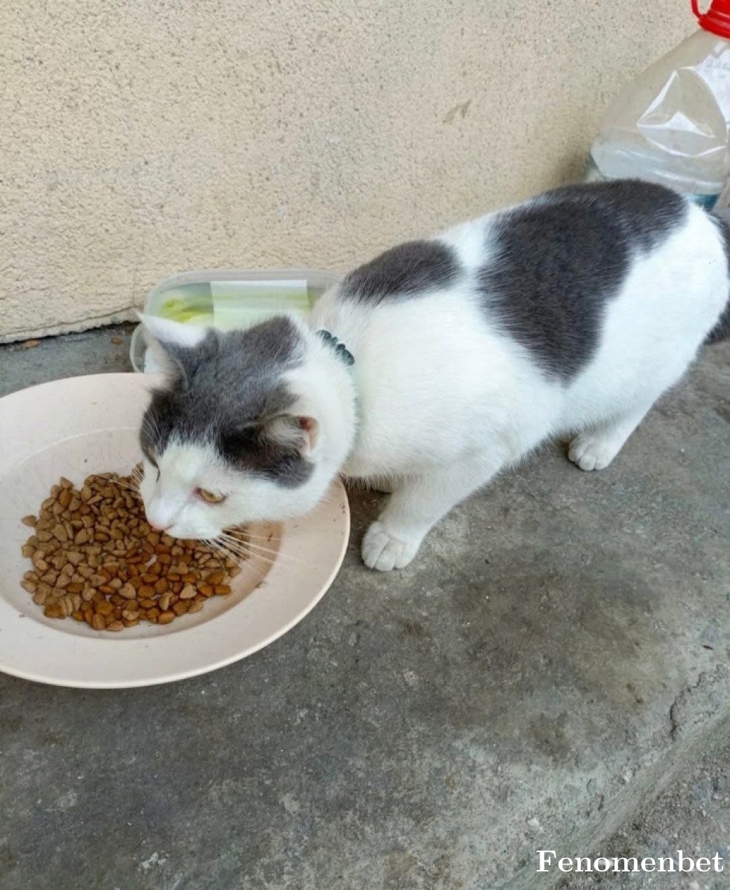 Aseliii tarafından paylaşıldı