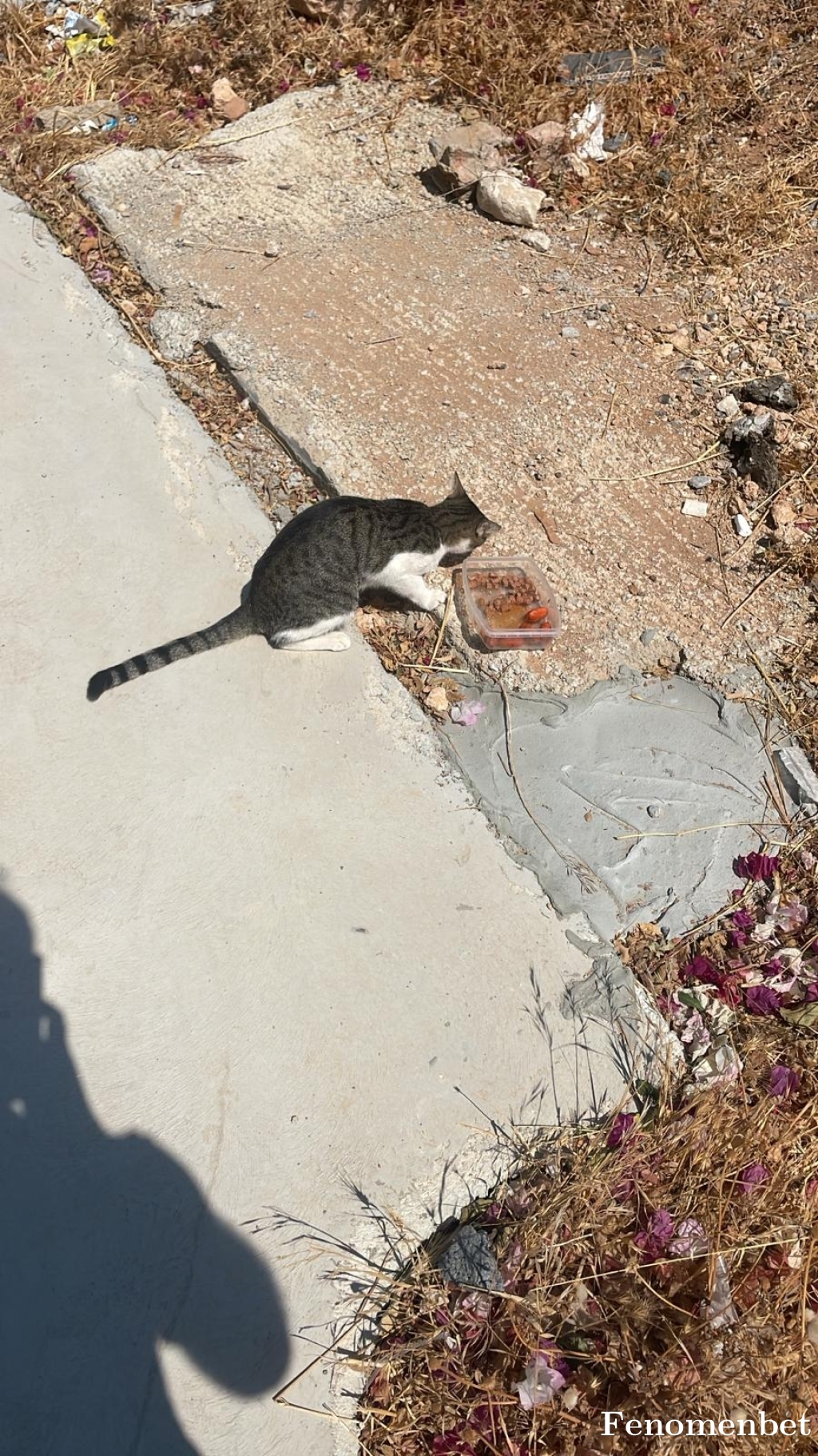 Bilisko tarafından paylaşıldı