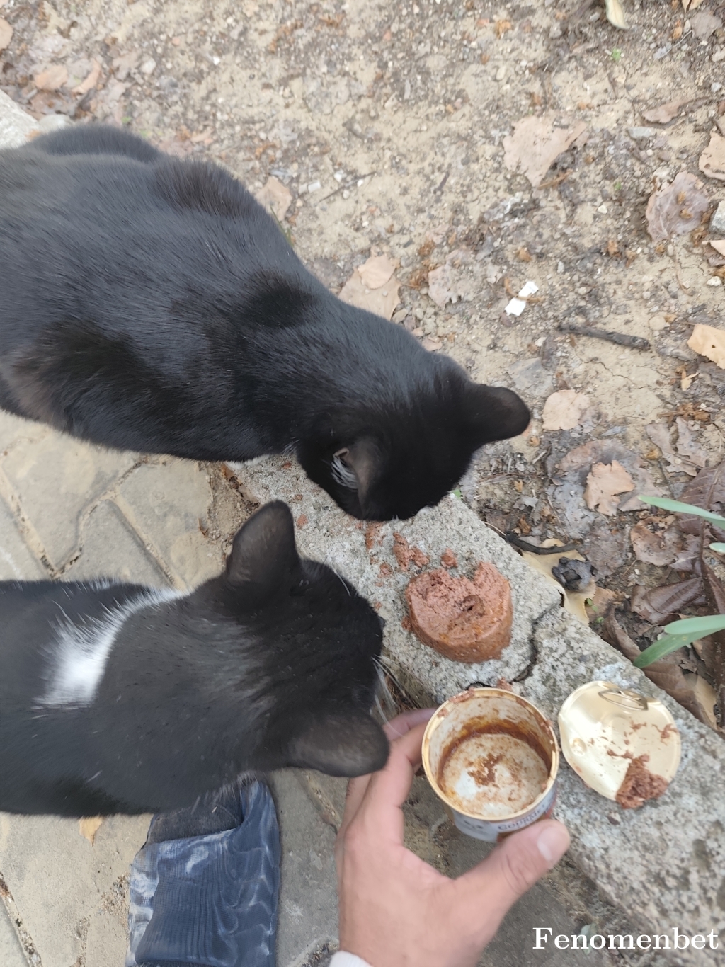 Mehmet07m tarafından paylaşıldı