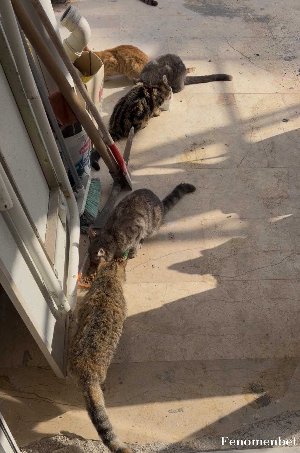 Honurdag tarafından paylaşıldı