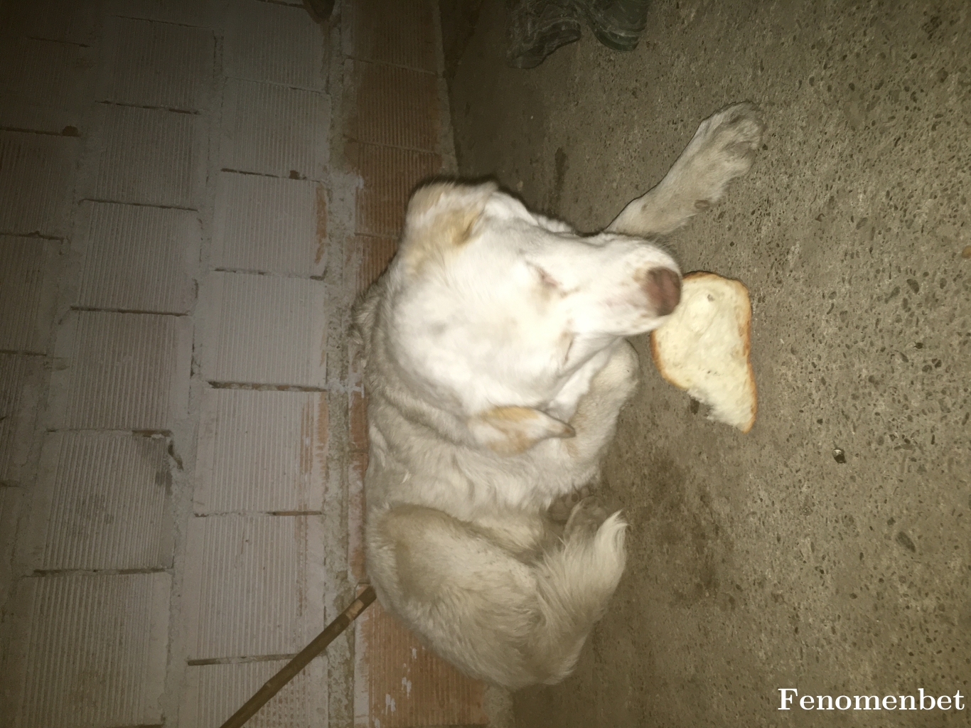 Kurtbekir77  tarafından paylaşıldı