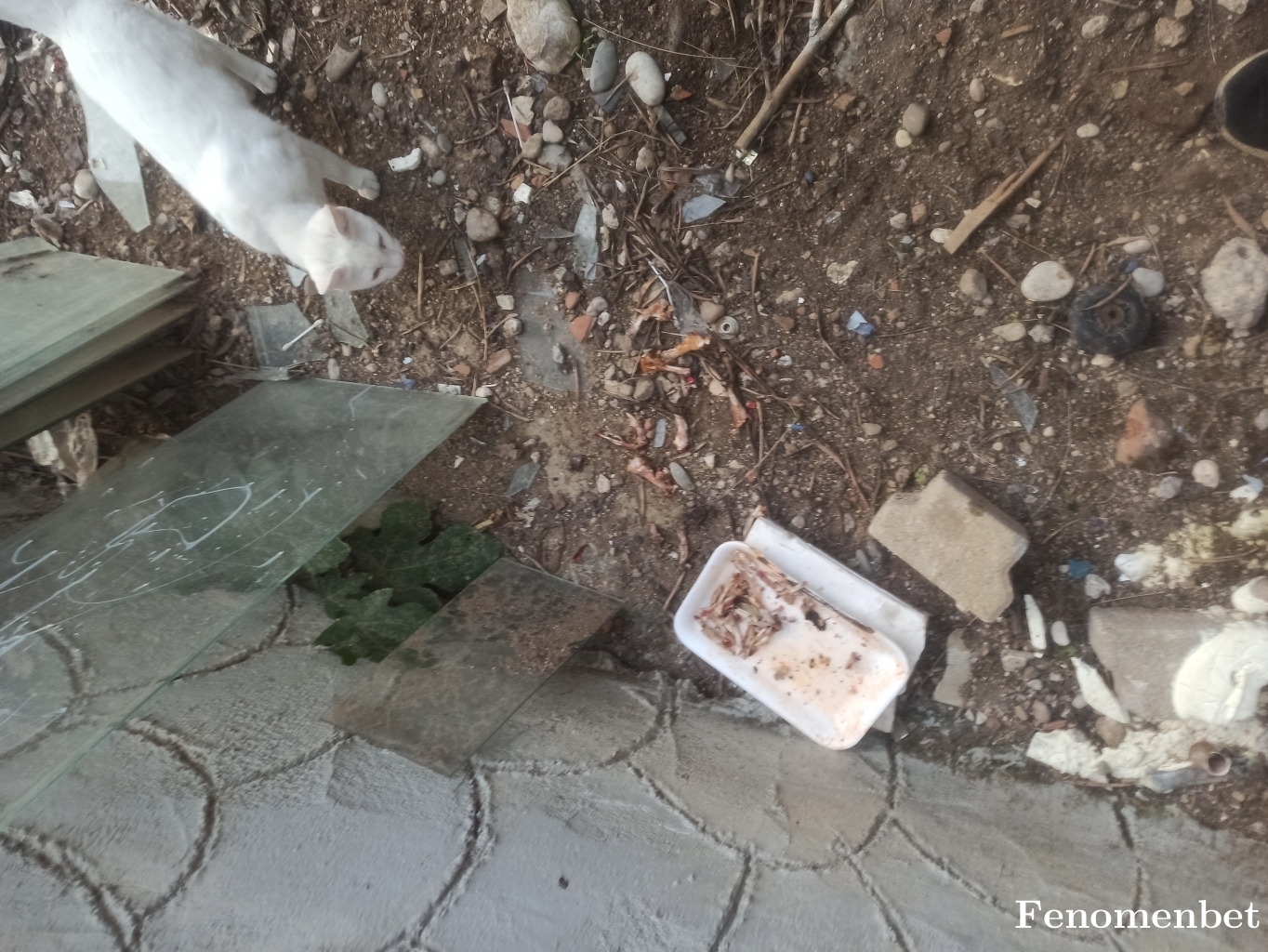 Coskuner34 tarafından paylaşıldı