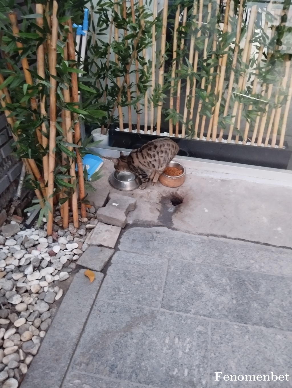 Krcml tarafından paylaşıldı