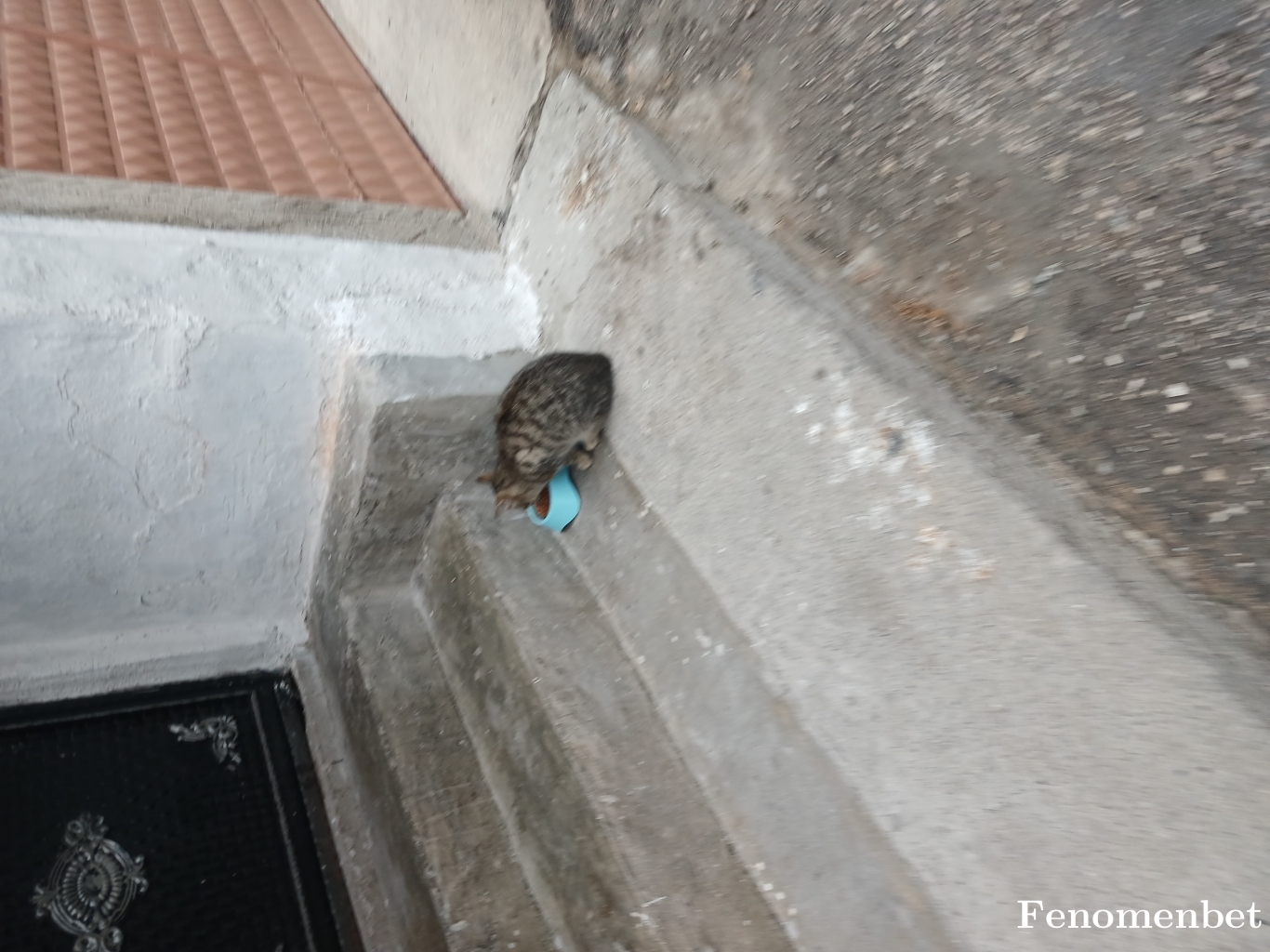 Caglayan1995 tarafından paylaşıldı