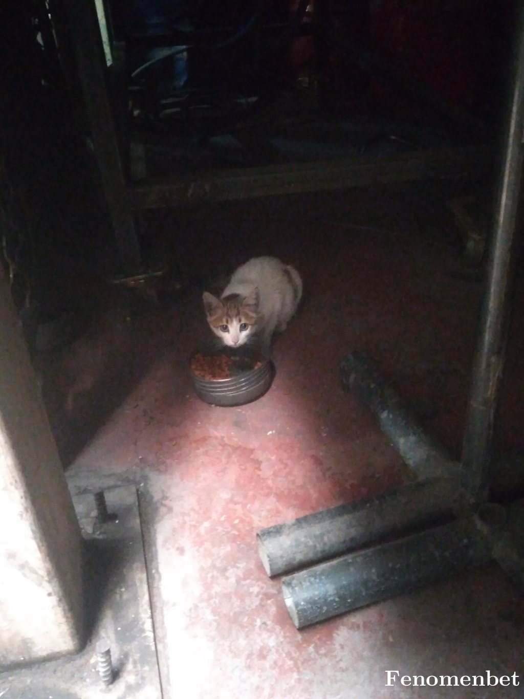 Mervesehirf tarafından paylaşıldı