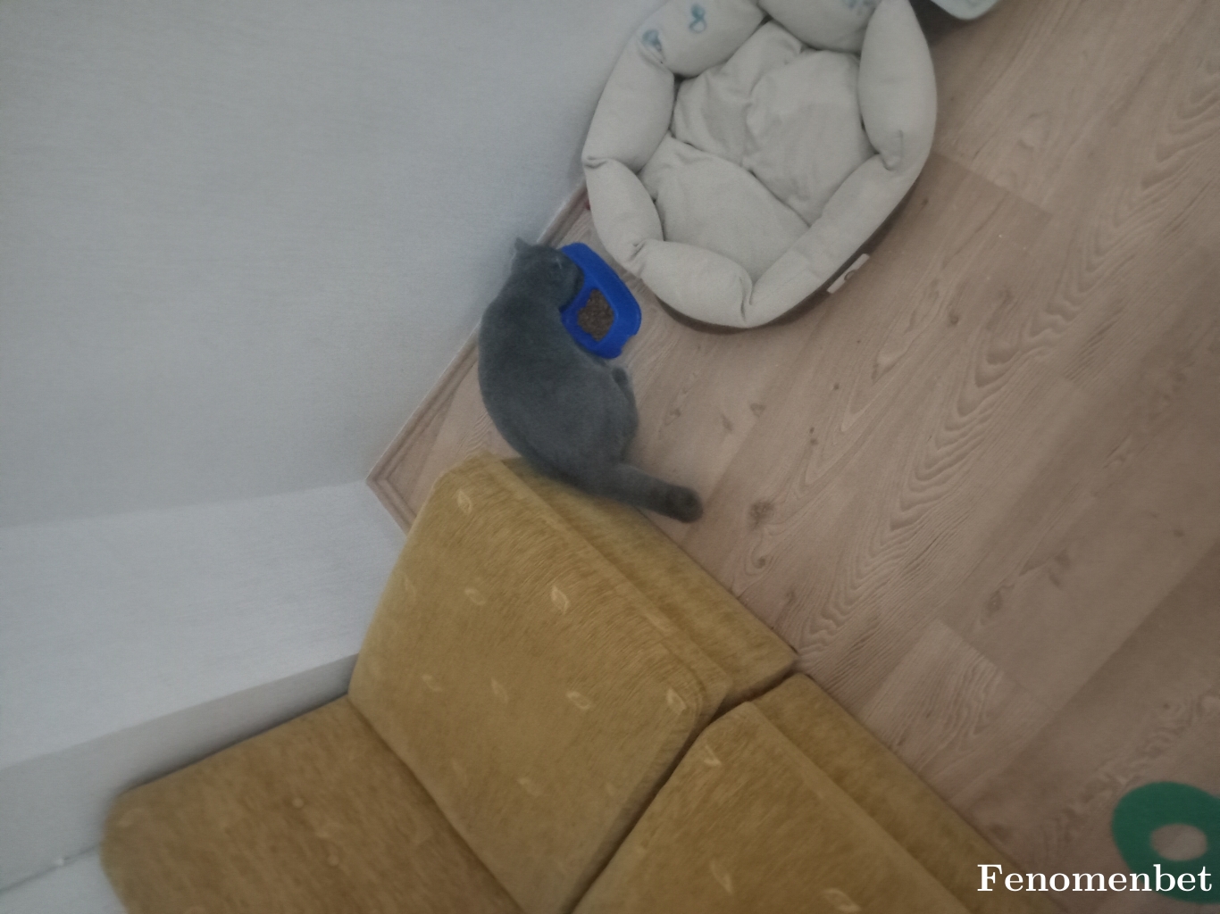 Berberhasan tarafından paylaşıldı