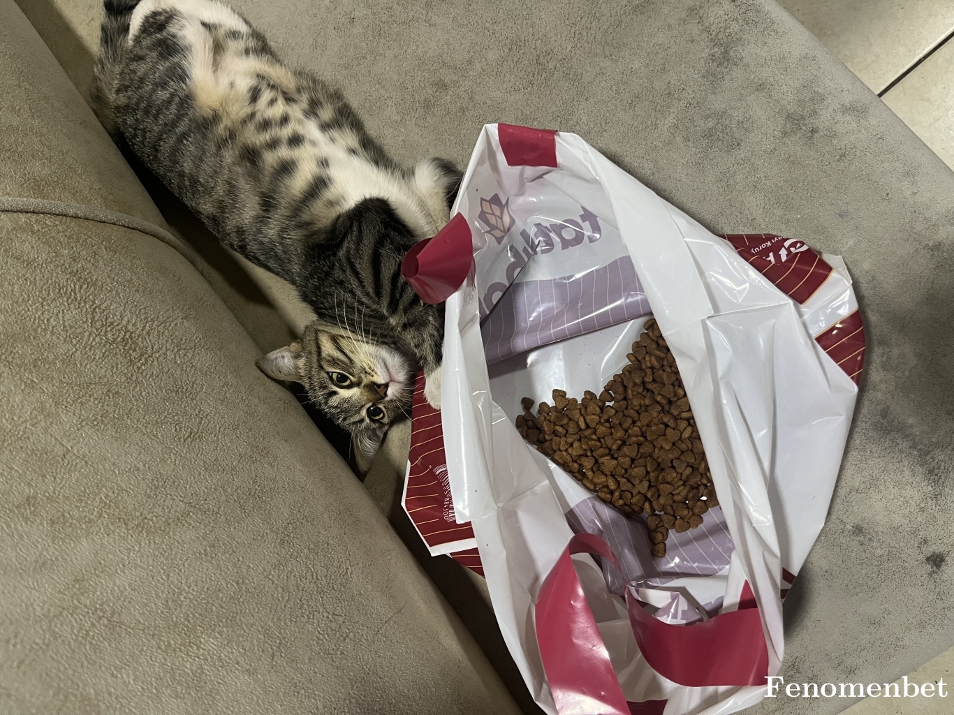 sekizyan tarafından paylaşıldı