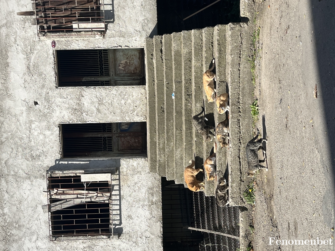 burak611533 tarafından paylaşıldı