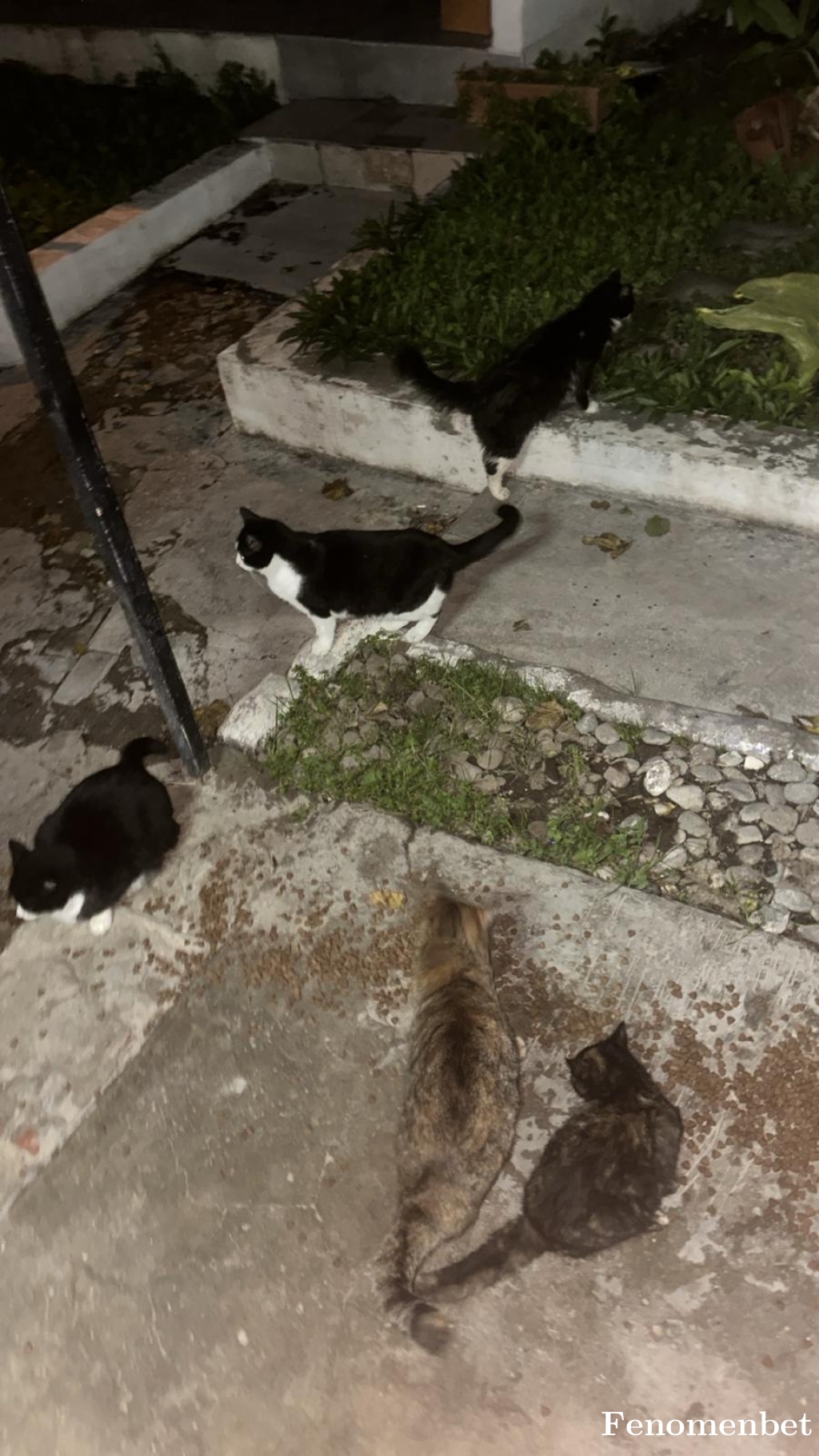 Gulogulcan12 tarafından paylaşıldı