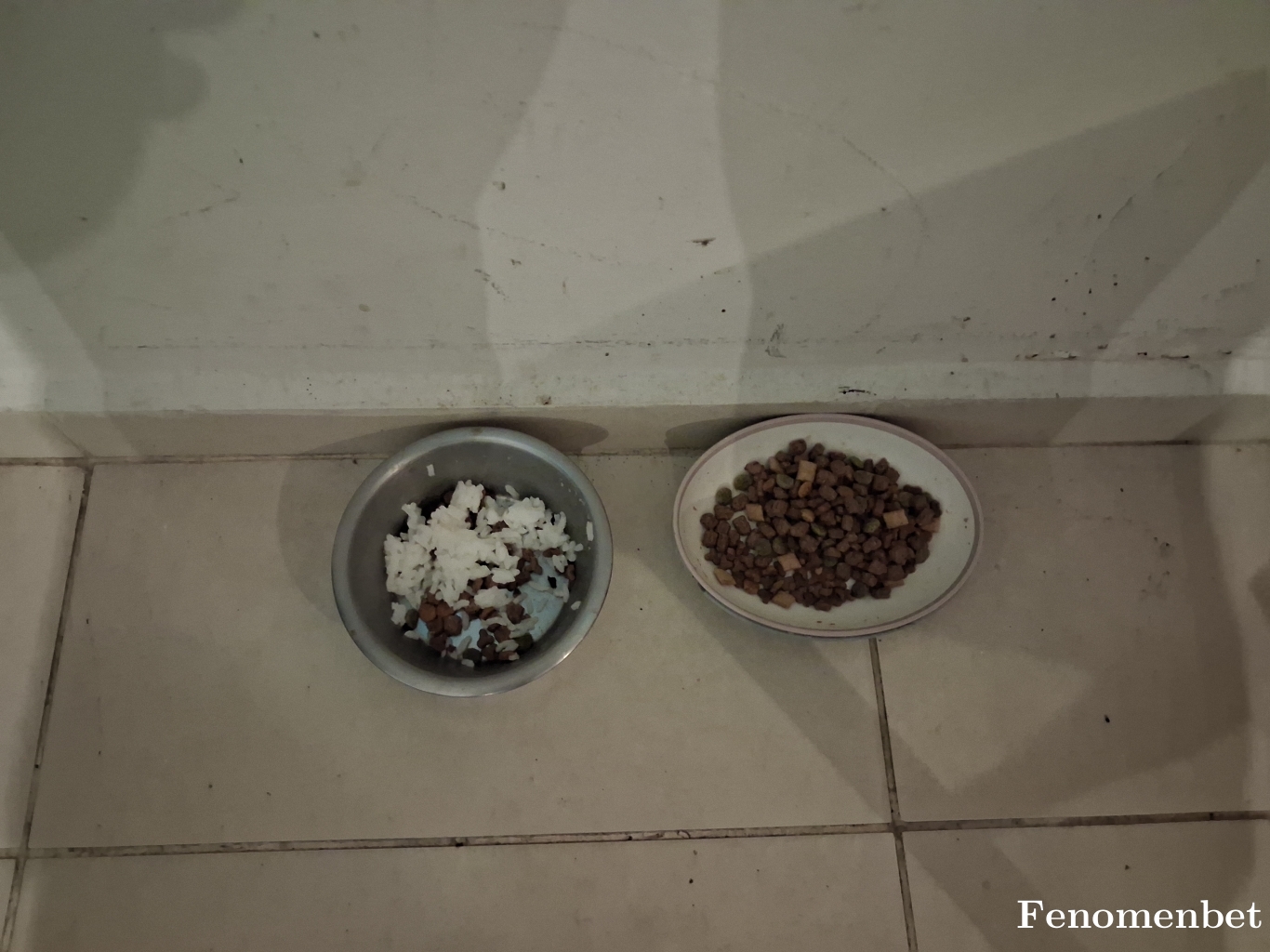 Cio4848 tarafından paylaşıldı