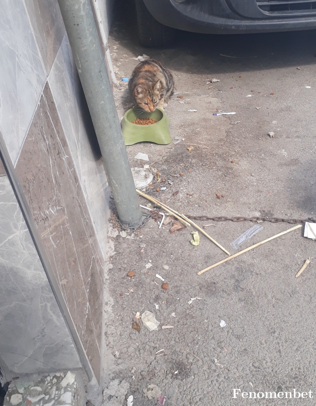 Taner616 tarafından paylaşıldı