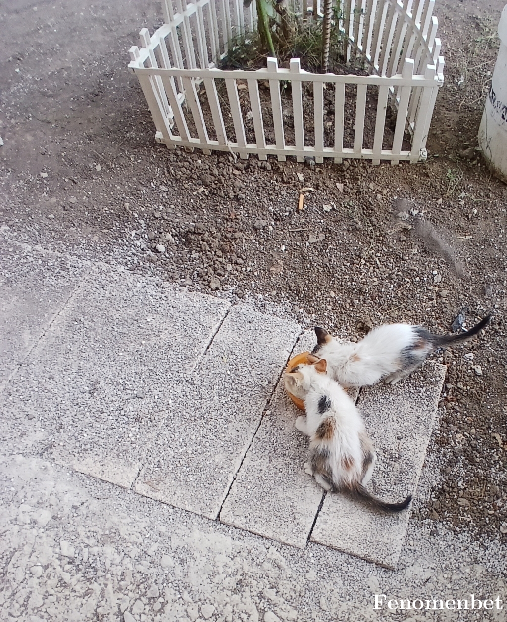 Kubra5206 tarafından paylaşıldı