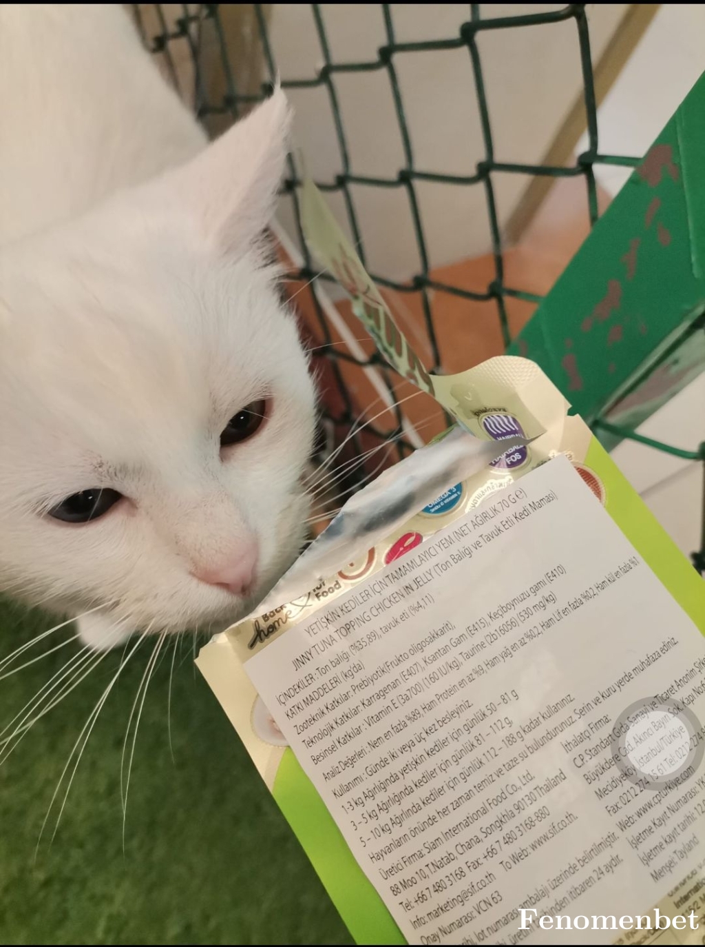 Sofia133 tarafından paylaşıldı