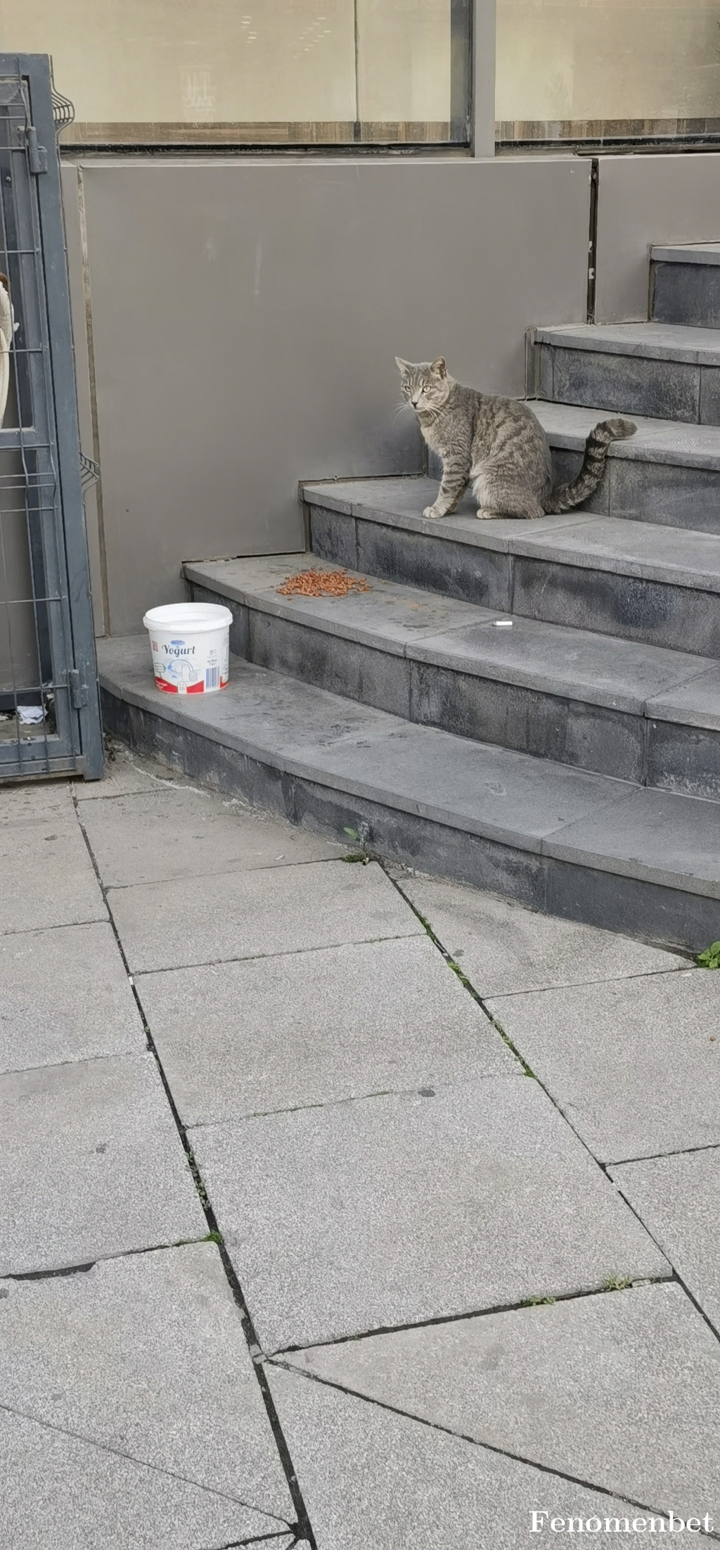 Exsalans  tarafından paylaşıldı