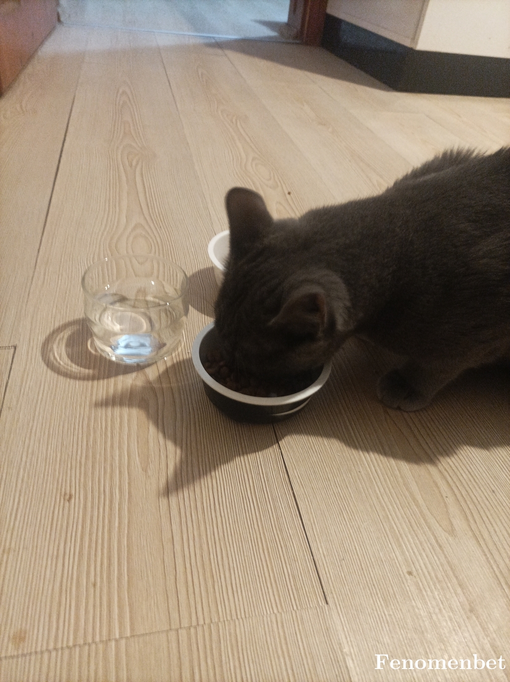 Sercan0522 tarafından paylaşıldı