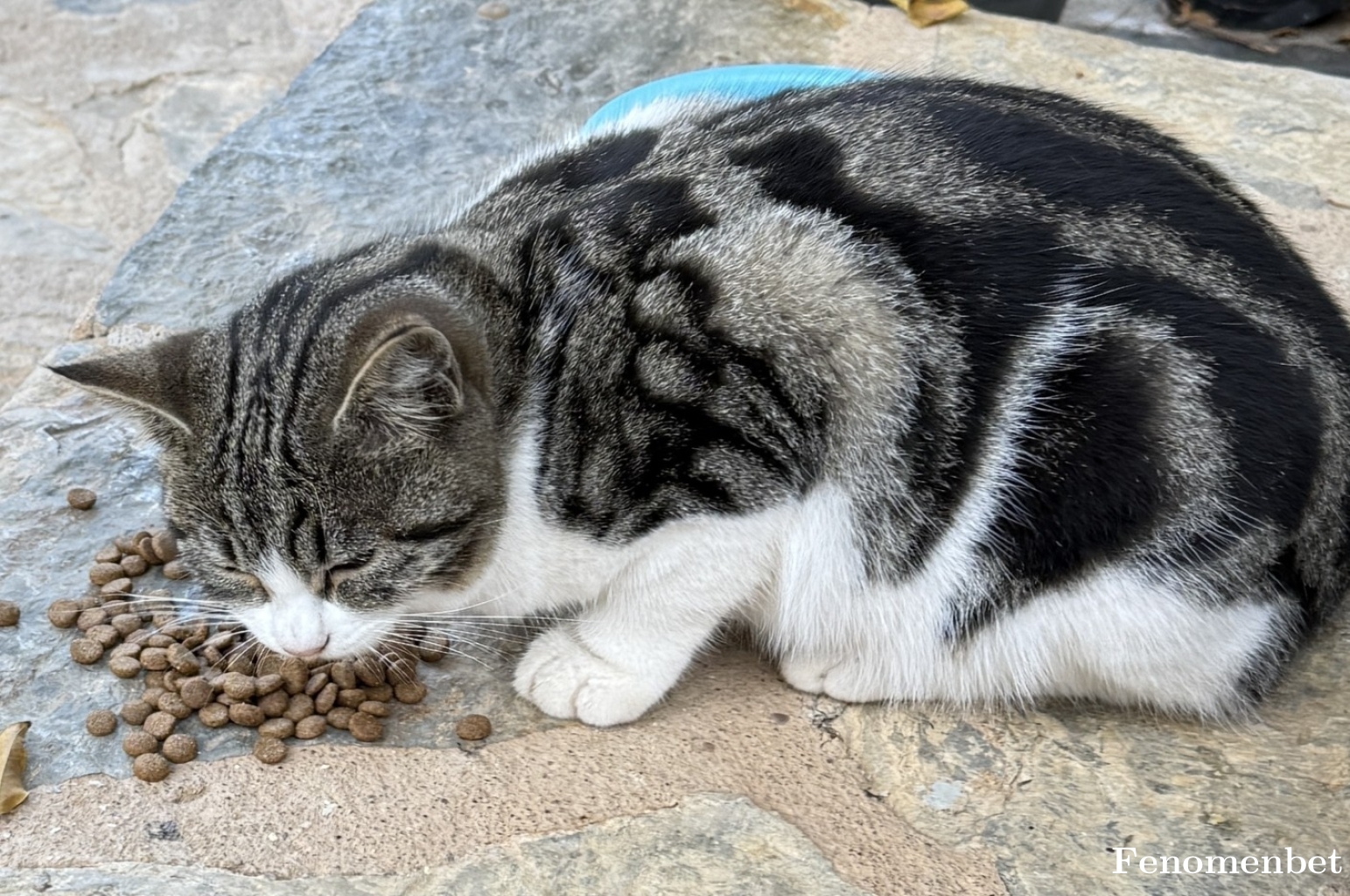 burcburcu26 tarafından paylaşıldı