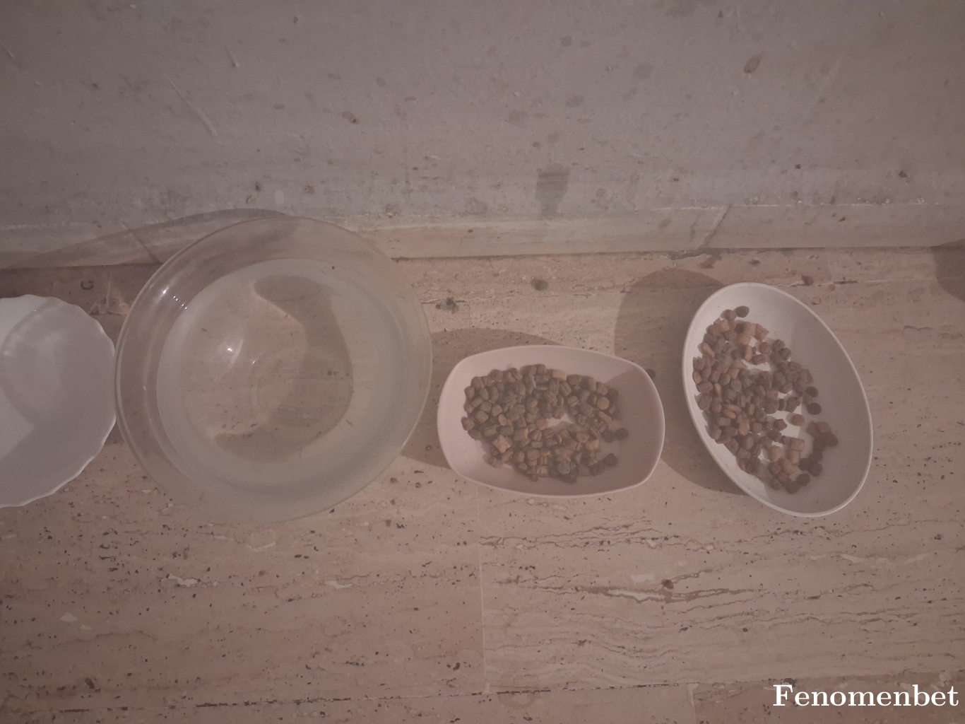 Mylifeee tarafından paylaşıldı