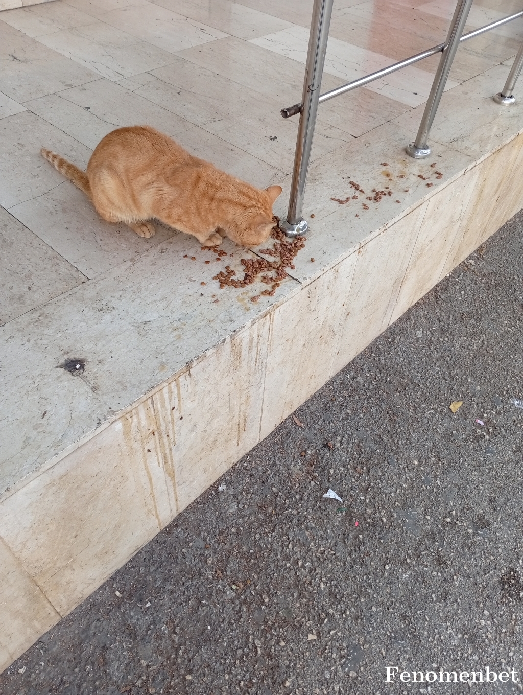 Boran30 tarafından paylaşıldı