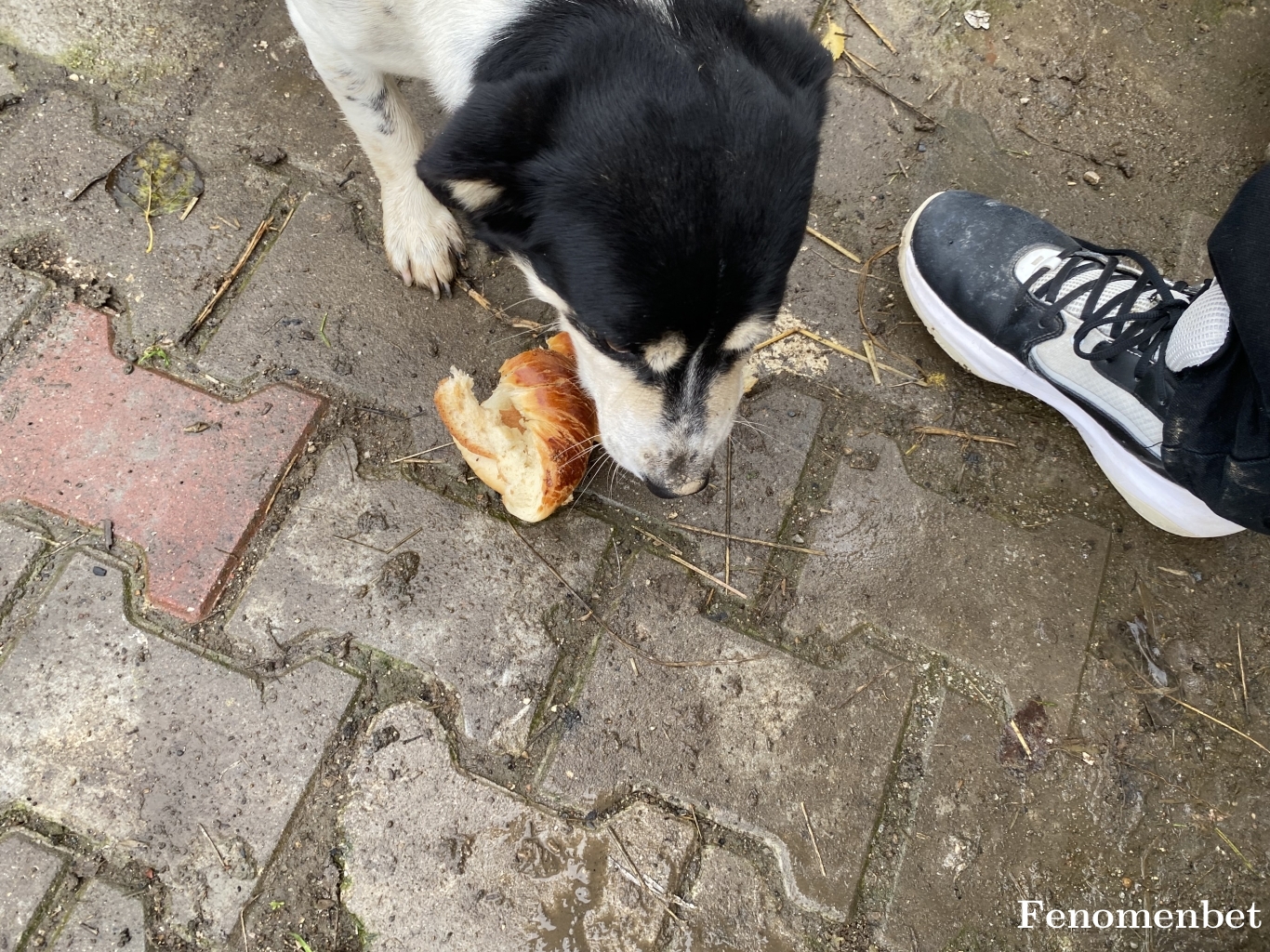 JokerDad tarafından paylaşıldı