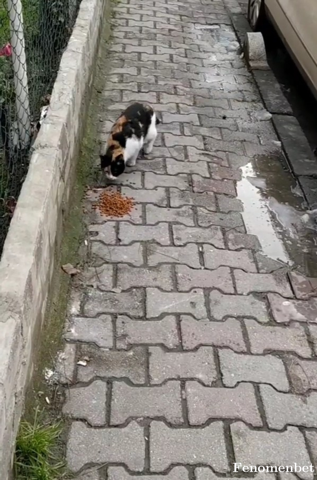 Derya215 tarafından paylaşıldı