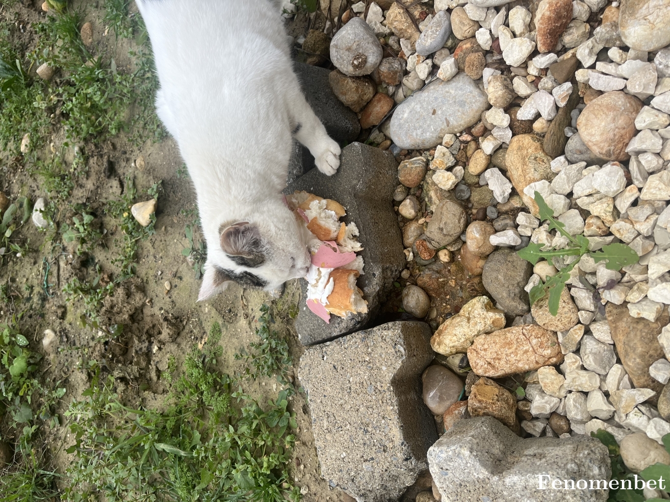 Yamandogan07 tarafından paylaşıldı