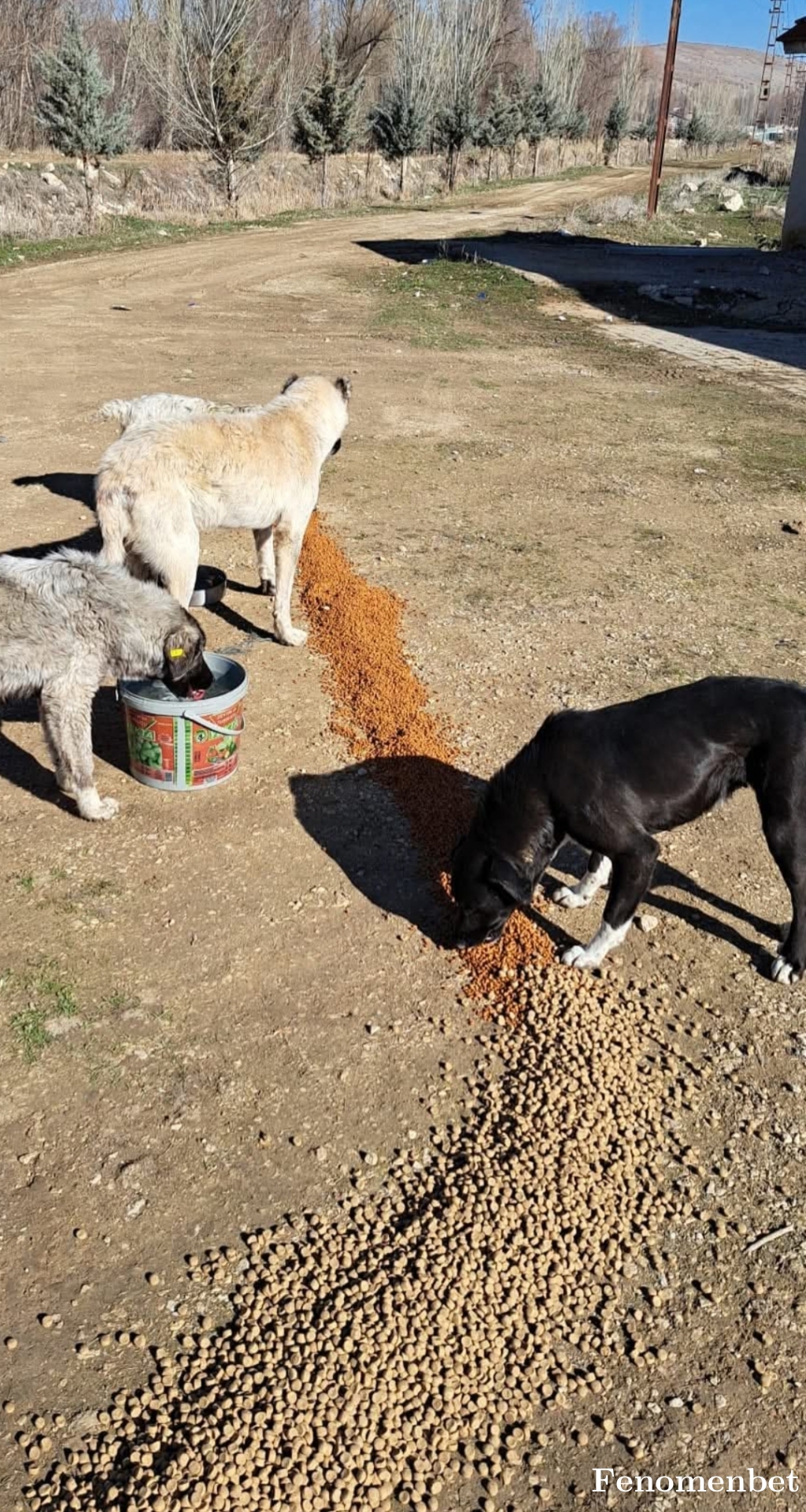 Nusret5885 tarafından paylaşıldı