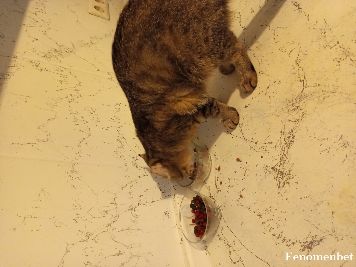 Buraqunall tarafından paylaşıldı