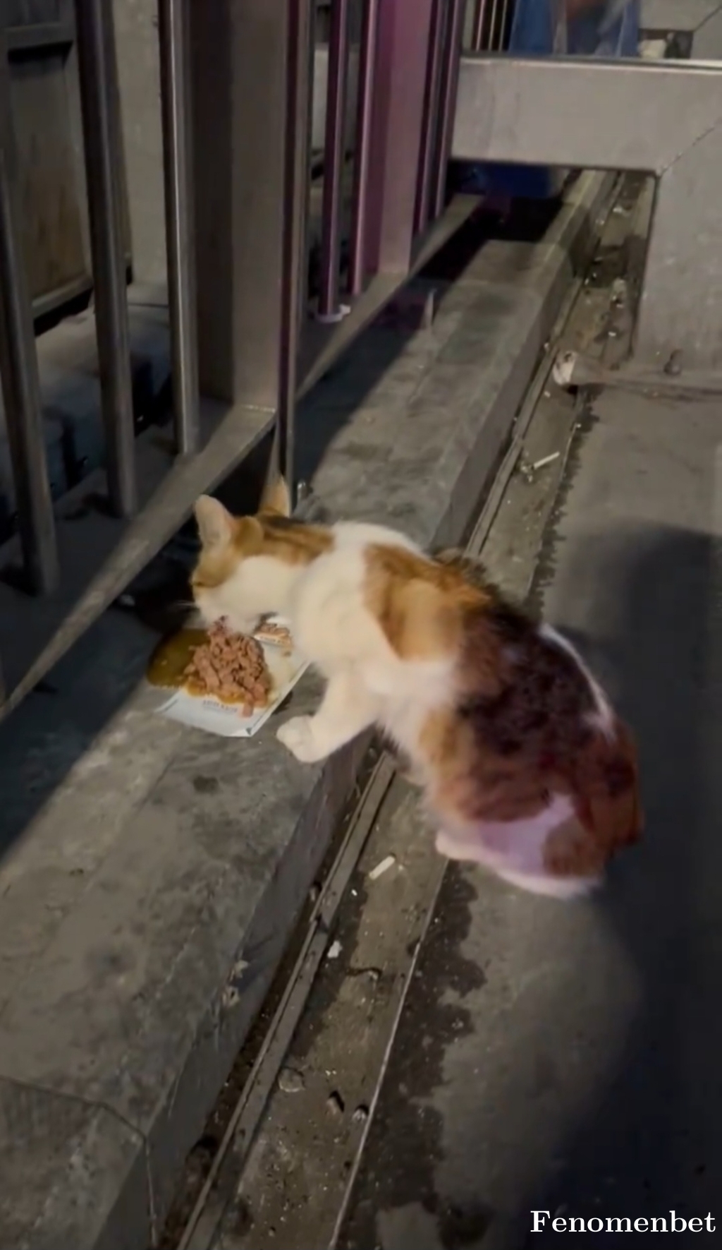 Kingof11 tarafından paylaşıldı