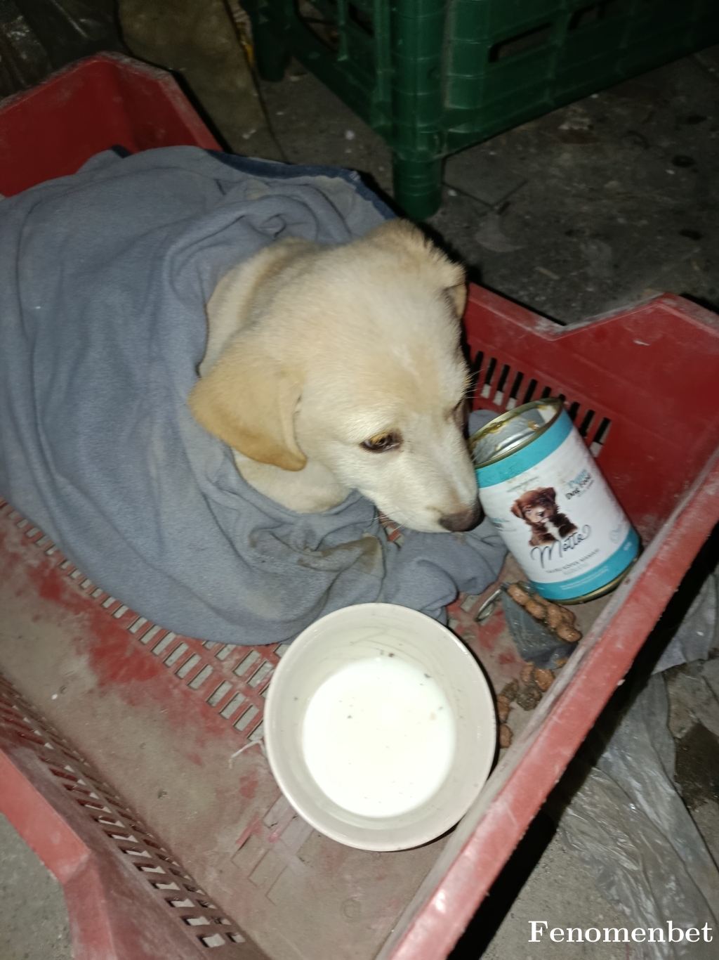 Braga31 tarafından paylaşıldı